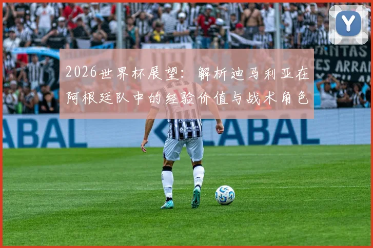 2026世界杯展望：解析迪马利亚在阿根廷队中的经验价值与战术角色