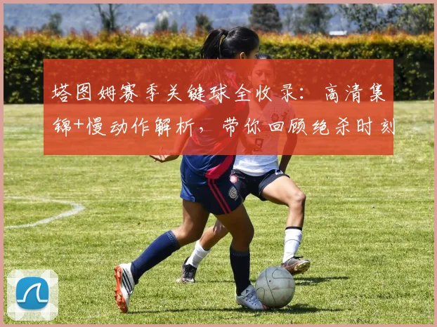 塔图姆赛季关键球全收录:高清集锦+慢动作解析,带你回顾绝杀时刻